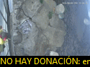 00:00:17