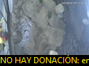 00:06:08