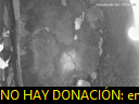00:06:41