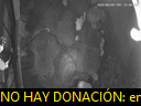 00:06:52