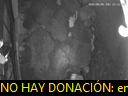 00:12:43