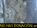 00:04:20