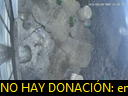 00:05:00