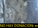 00:11:57