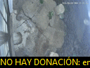 00:19:34