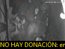 00:35:33
