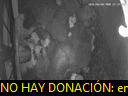 00:38:07