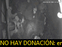 00:46:15