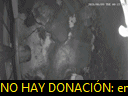 01:17:49