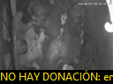01:19:33