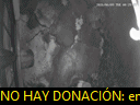 01:29:42