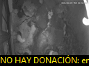 01:50:39