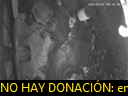 02:00:33