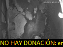 03:36:28