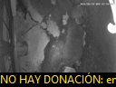 03:50:27