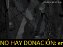 04:56:23