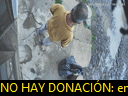 11:12:09
