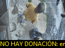 11:12:19
