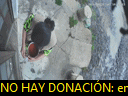 11:44:21