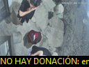 00:00:12