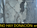 01:23:05