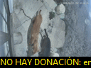 04:46:40