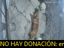 04:47:31