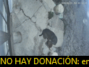 04:51:33