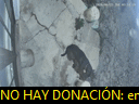 04:51:53