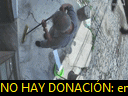 14:08:46