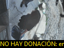 14:37:05