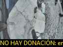 16:16:31