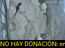 05:44:41