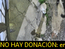 00:21:59