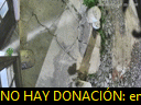 00:31:01