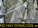 00:45:27