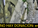02:12:54