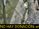 04:03:56