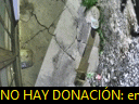 06:39:20