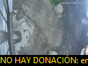 00:20:49