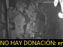 03:19:51