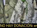 04:12:31
