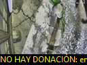 06:04:54