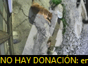 04:09:14