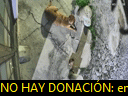 04:11:00