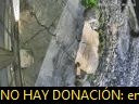 06:43:49