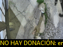 00:42:54