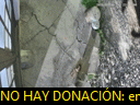 00:43:14