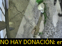 00:50:56