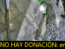 04:33:55